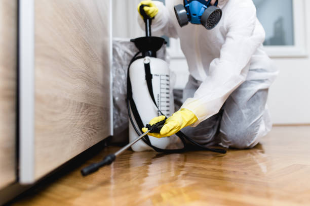 Professional Pest Control in Walton Park, NY