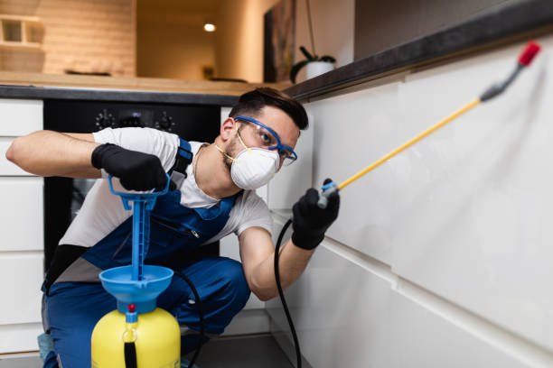 Best Termite Control Services  in Walton Park, NY