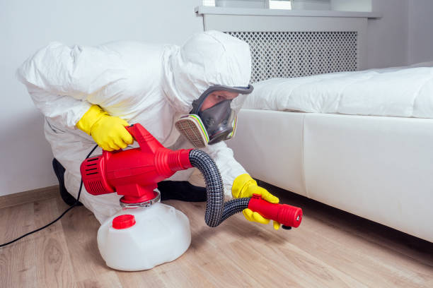 Insect Control in Walton Park, NY