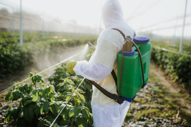 Best Emergency Pest Control  in Walton Park, NY